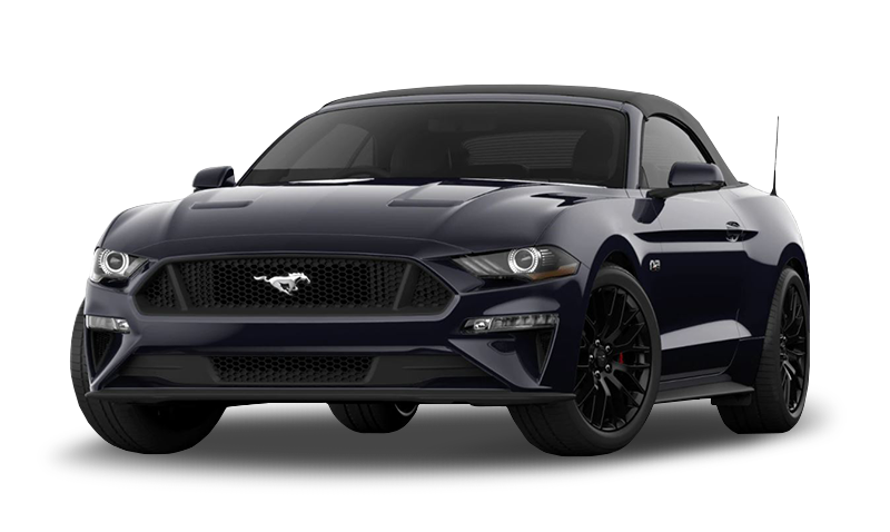 섀도우 익스테리어